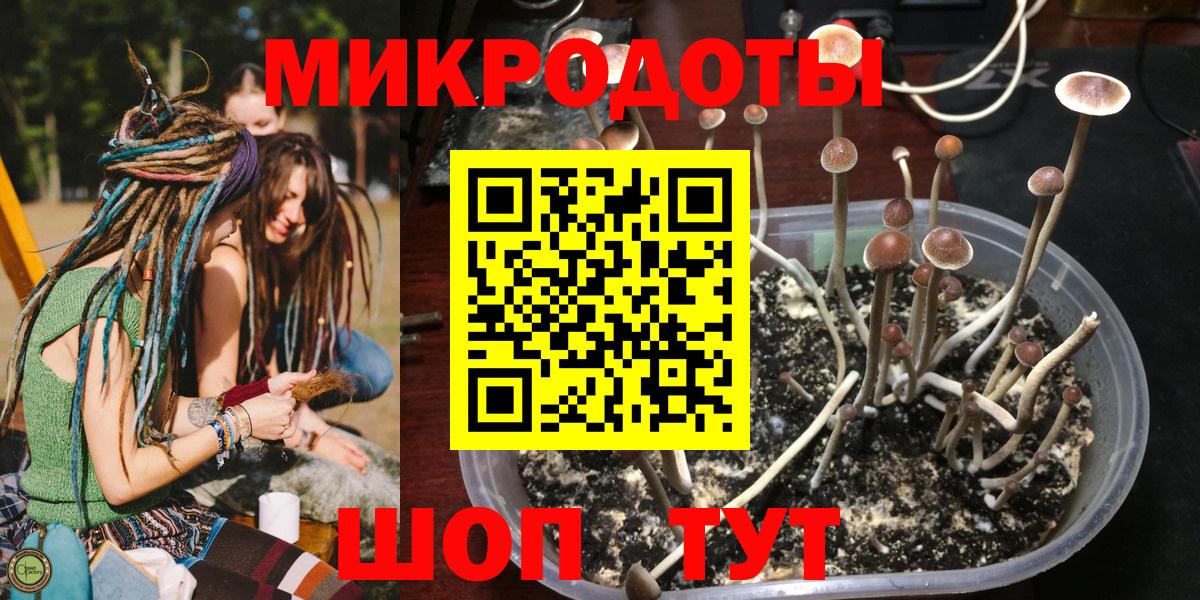 Комсомольск-на-Амуре  Псилоцибиновые грибы Psilocybine cubensis  Вход с VPN 