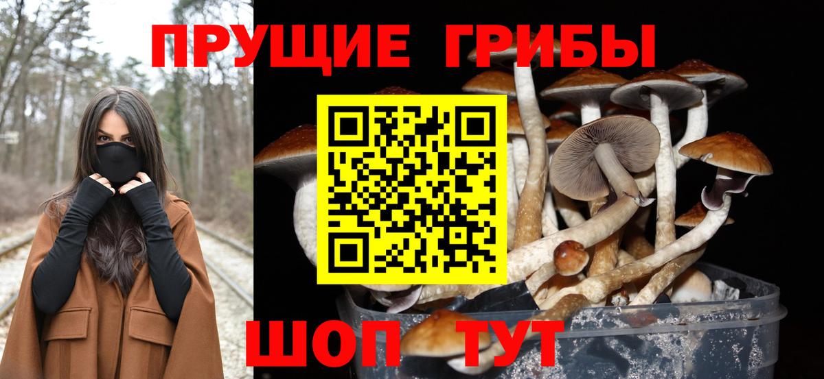 Галлюциногенные грибы Magic Shrooms Комсомольск-на-Амуре
